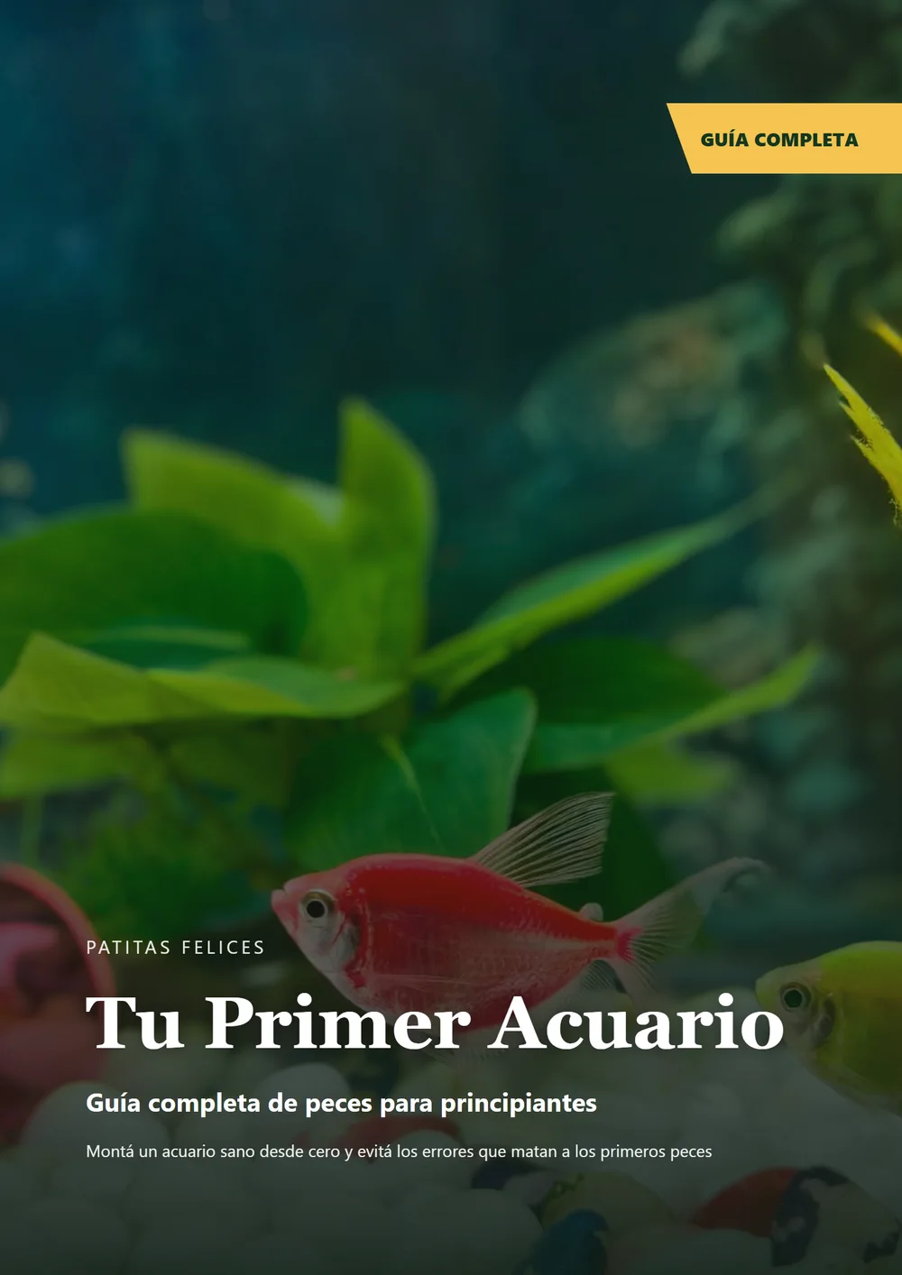 Tu Primer Acuario