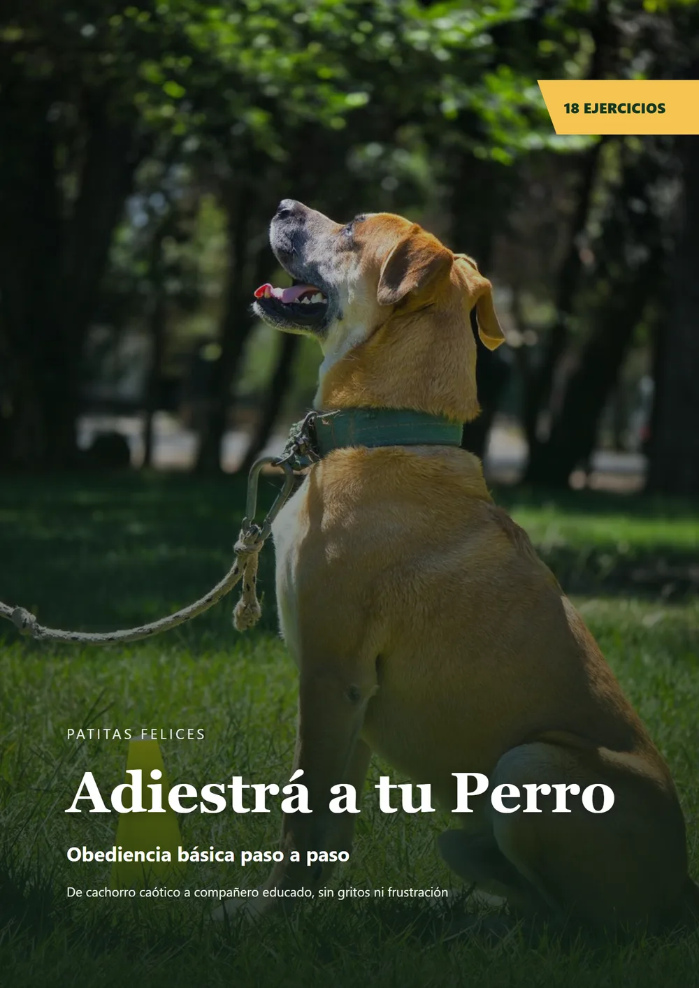 Adiestrá a tu Perro