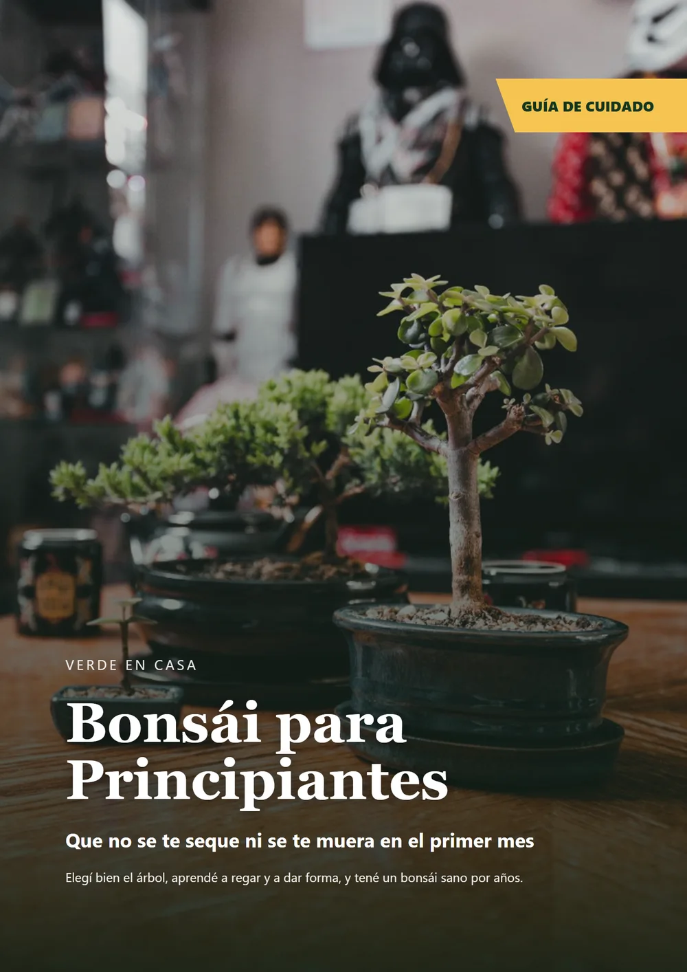 Bonsái para Principiantes
