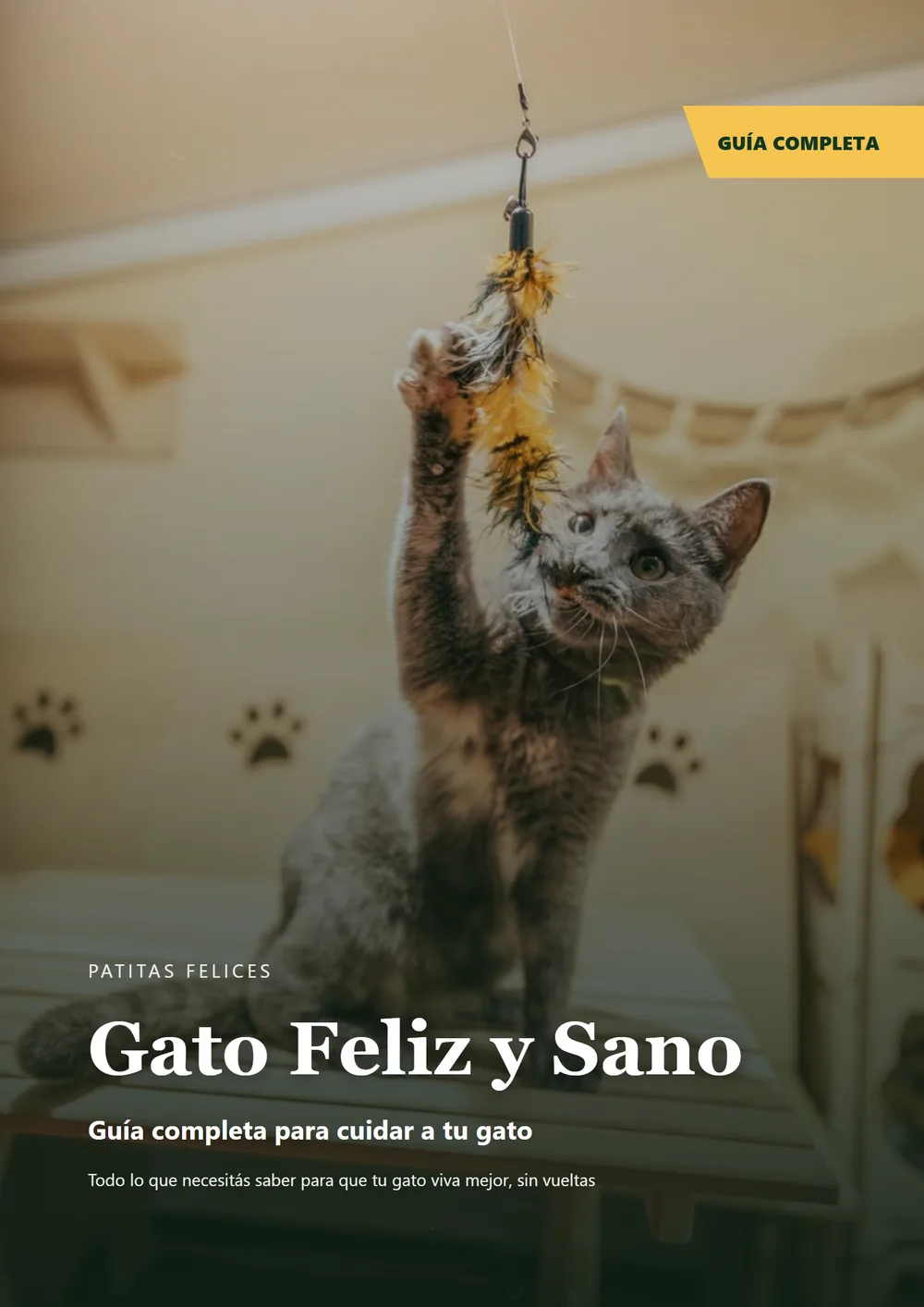Gato Feliz y Sano