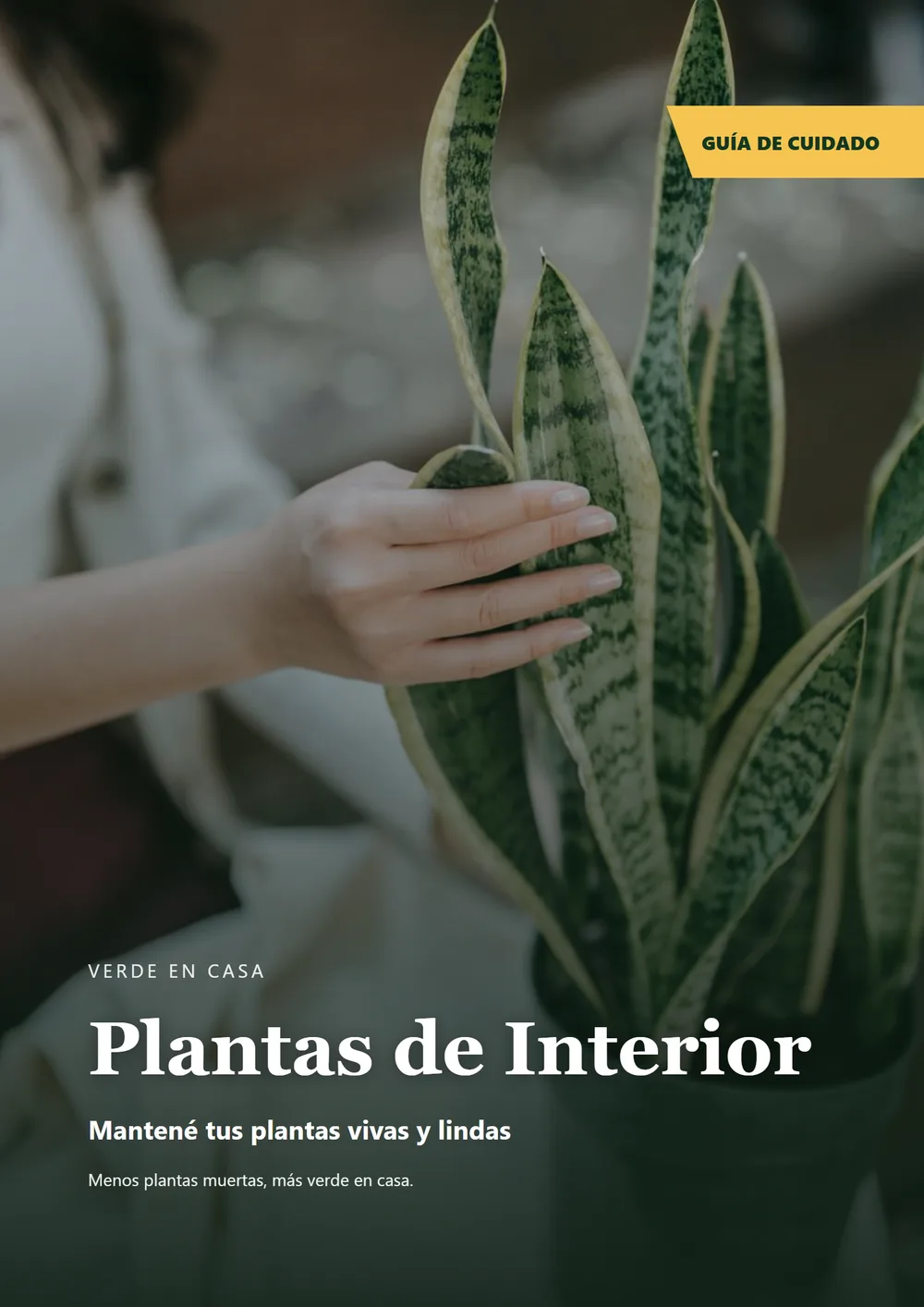 Plantas de Interior