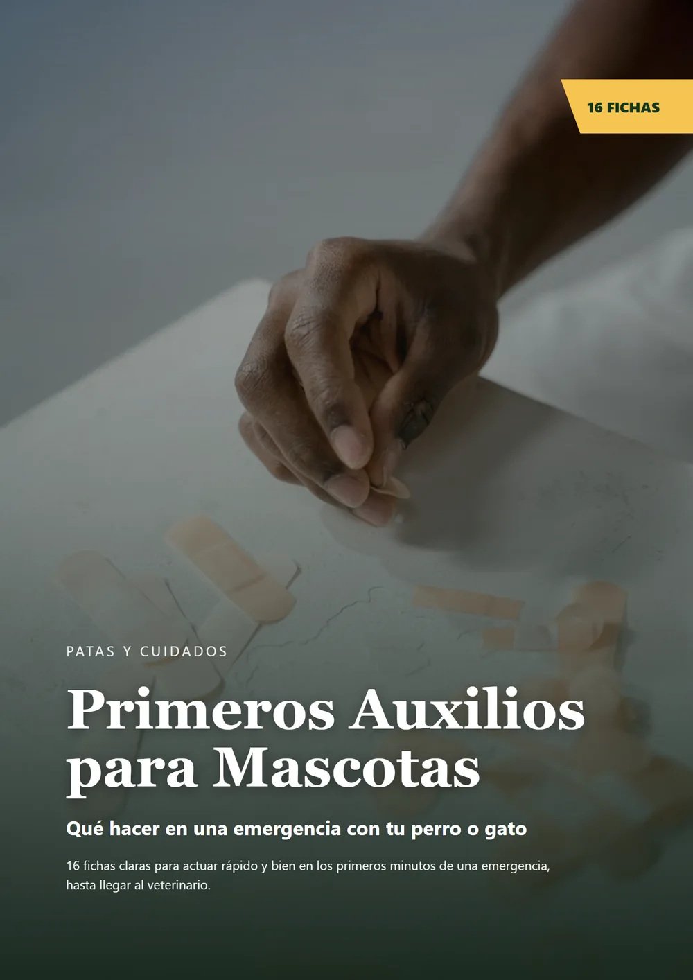 Primeros Auxilios para Mascotas