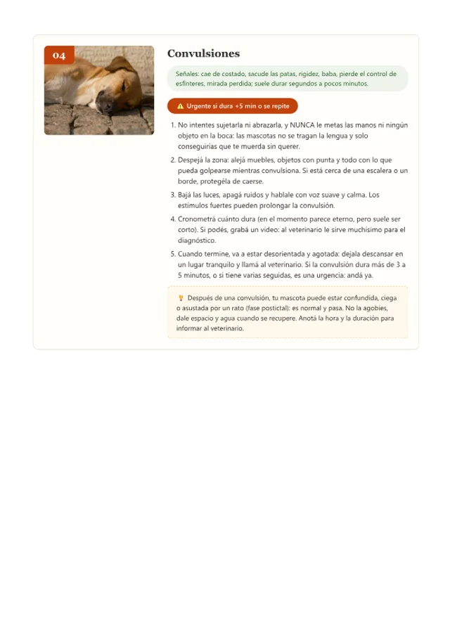 Vista 1