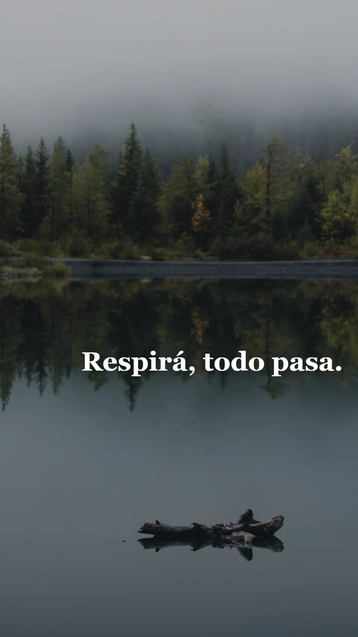 Vista 1